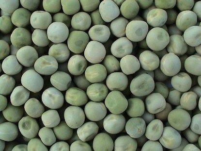 Picture of PEAS