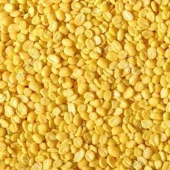 Picture of MOONG DAL