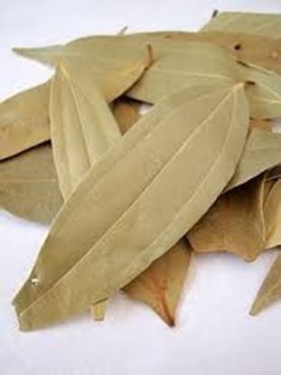 Picture of BAY LEAF