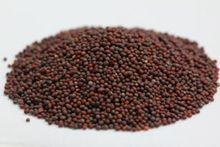 Picture of MUSTARD 100gm