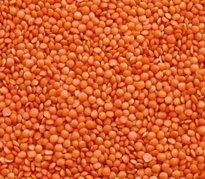 Picture of MASOOR DAL