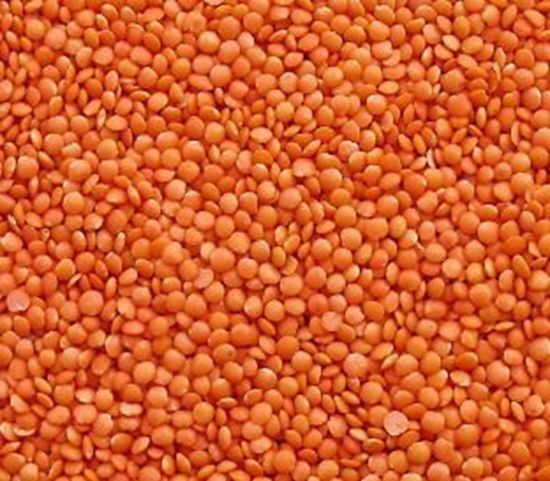 Picture of MASOOR DAL