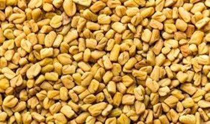 Picture of FENUGREEK