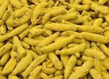 Picture of TURMERIC