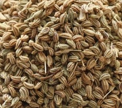 Picture of AJWAIN