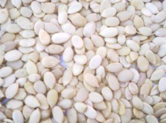 Picture of WATER MALLEON SEED 100gm