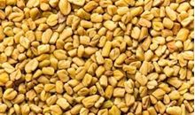 Picture of FENUGREEK  (METHI) 500gm